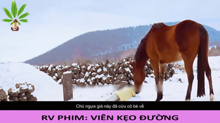 Dùng cả mạng sống để bảo vệ danh dự của chủ nhân - Viên Kẹo Đường - Part 1#reviewphim