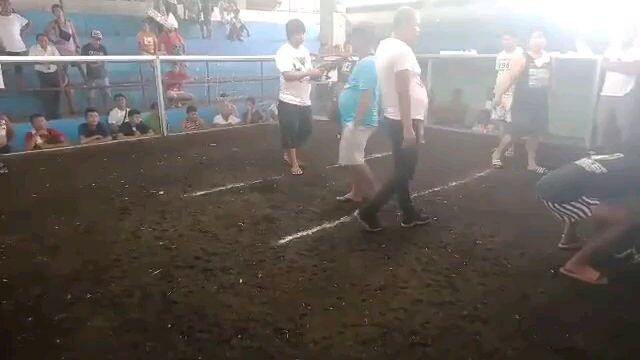 sweater x white Kelso panalo