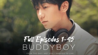 Buddy Boy (2024) 2024 BL Reel Short Series