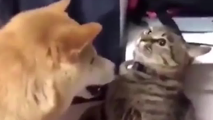 Won't even look at you.