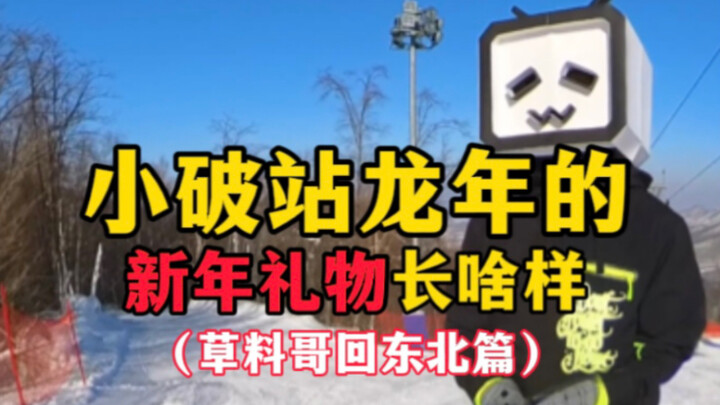 小破站龙年的新年礼物长啥样？