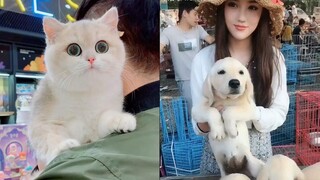 Tổng hợp tik tok chó mèo cực kỳ cute và đáng yêu.