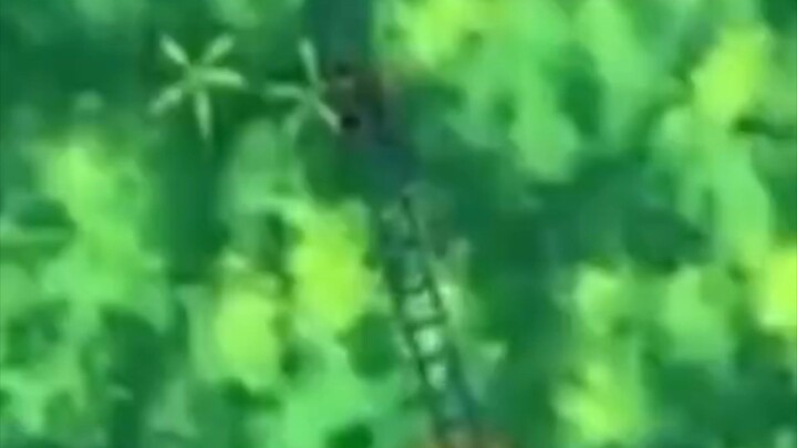 Shinchan naik roller coaster