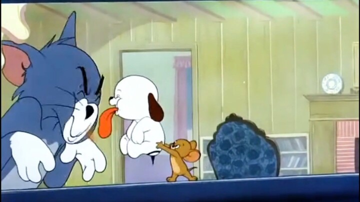 Tom and Jerry episode 80 - Puppy Tale (1954)