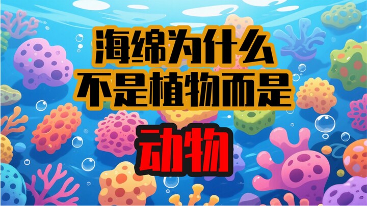Why is a sponge an animal rather than a plant?