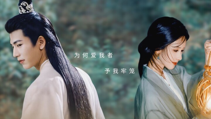 Why did the one who loved me put me in a cage? | Prequel to Mrs. Lan • Chen Duling and Zhang Linghe