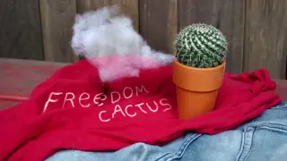 Clarence Season 2 (Ep4) - Freedom cactus