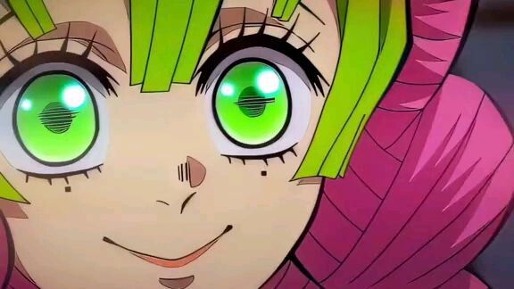 DEMON SLAYER HASHIRA