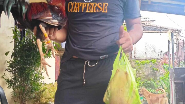 4xwinner👌👌👌👌