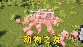 什么是动物之友？