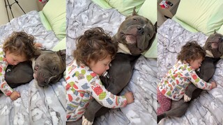 有时候狗狗也是个完美的保姆