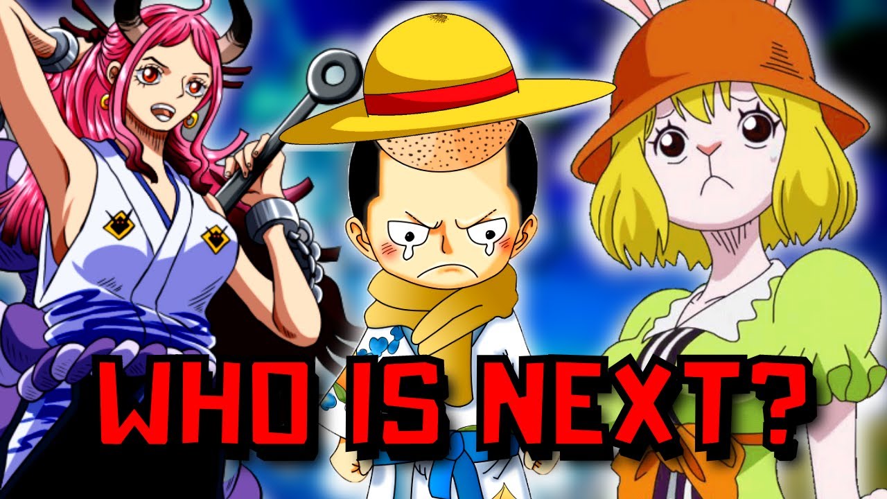 the next straw hat