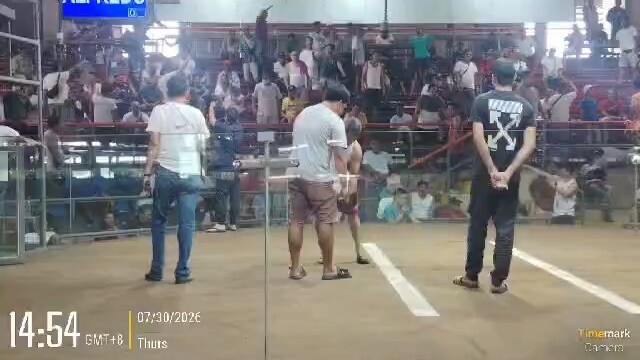 30 July 2026, Pilar Coliseum, manok na pula bulag din kanan mata. 2nd fight Win.