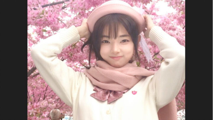 Hey, did you know? What’s the speed of falling cherry blossoms in Mach?