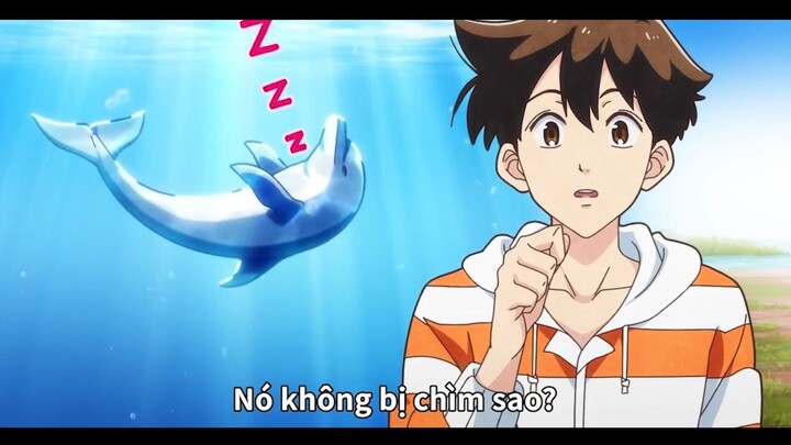 Loài cá heo ngủ dưới nước như nào? #anime