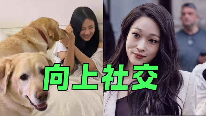 نينغ ييتشوو تتواصل اجتماعيًا وتكشف عن صورةٍ لها مع كلب عائلة من الياكوزا.