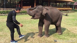 น้ำเพชรเข้าโรงเรียนวันแรกเรียนจับขวด