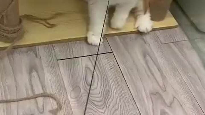 Hahaha, the rope breaks but magically reconnects on its own! Pretend it never broke and keep on play