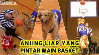 PERSAHABATAN ANJING DAN MANUSIA - Alur Cerita Film Air Bud 1997