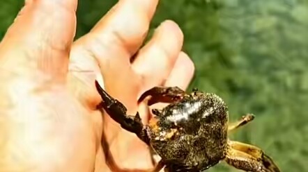 Tôi cứ ngỡ mình đã nắm bắt được mùa hè, hóa ra chính mùa hè đã níu giữ tôi lại.