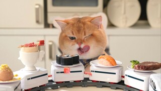 猫咪吃旋转自助，吃完拒不付账！