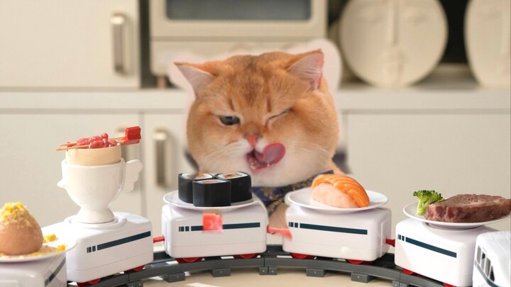 แมวกินบุฟเฟต์หมุน ทานเสร็จแล้วไม่ยอมจ่าย!