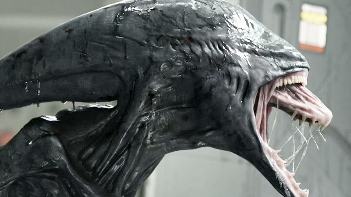 Apakah kalian berdua bersaudara yang terlahir bersama alien?