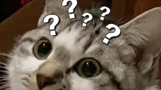 你见过最装逼的行为有哪些？