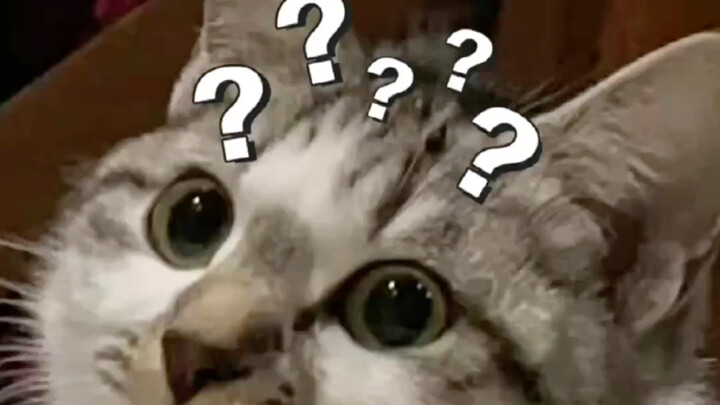 你见过最装逼的行为有哪些？