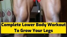Leg Workout