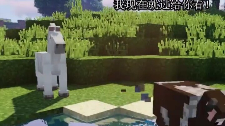 الحصان الصغير يريد عبور النهر: القصة التي رواها الأرنب