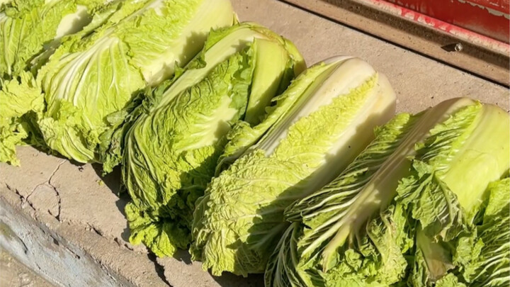Northeast China cannot lose sauerkraut!