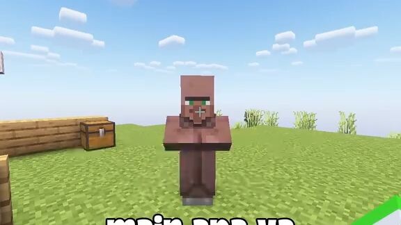Minecraft meme