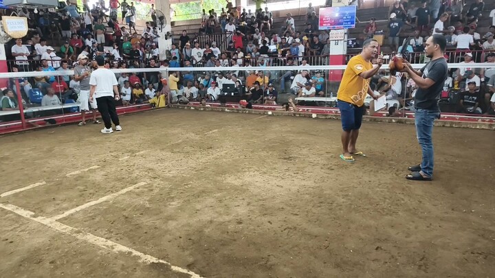 mahusay kahit malaki ang kalaban