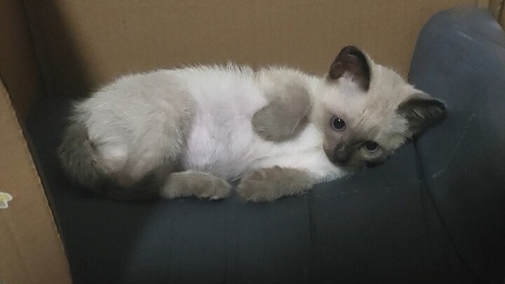 หัวหน้า วิลล่าหลังใหญ่ที่คุณทำให้ผมนี่ผมชอบมากเลยเมี๊ยว