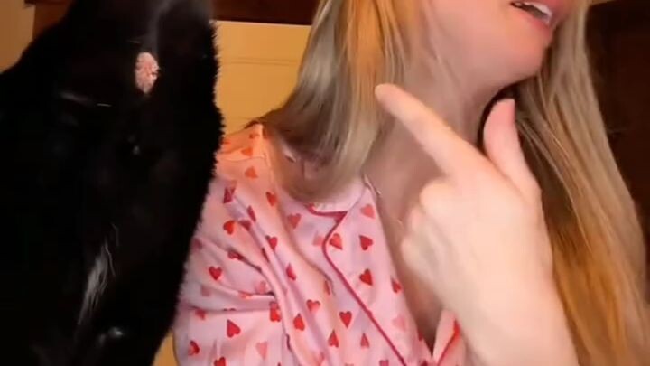 When a cat faces the camera Like what you see? Follow for more