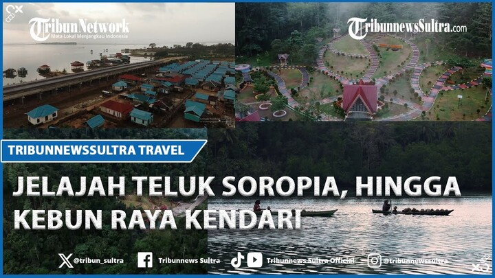 Jelajahi Keindahan Teluk Soropia, Masjid Al-Alam hinggg Kebun Raya Kendari