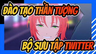 [Đào Tạo Thần Tượng MMD] Bộ sưu tập Twitter của Tora-no-Suken_F