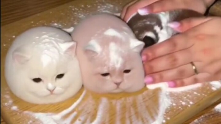 Cuộc sống làm thuê của Mí nơi công sở