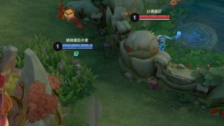 Hiện trạng phản rừng của Hakuho