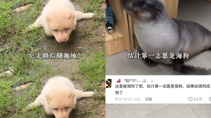 This method probably only a modern-day Hua Tuo could come up with.