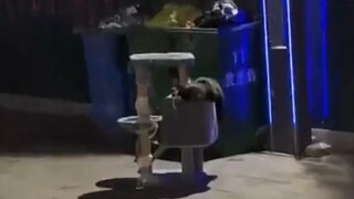 Apa yang kau tinggalkan adalah apa yang tidak pernah dia miliki