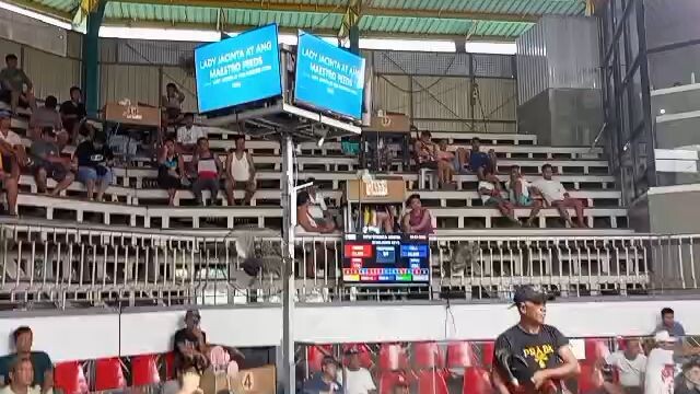 5 stag derby new cuenca arena