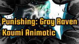 Punishing: Gray Raven
Kaumi Animatic