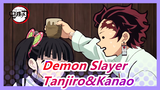[Demon Slayer] Tanjiro&Kanao--- Sha'll Change If She Falls in Love with a Boy One Day