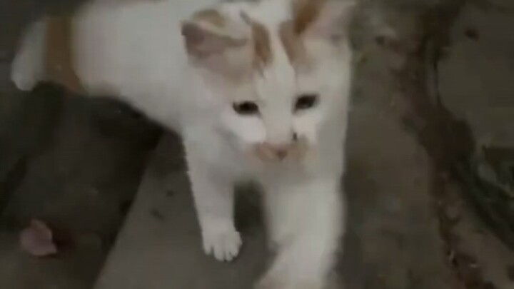 Oi, here you go—don’t hide!