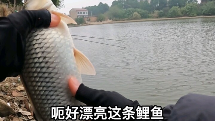 วันนี้ปลาเยอะมาก ครบทุกสายพันธุ์เลย ฮิฮิ