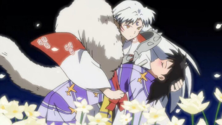 [InuYasha | Sesshomaru x Rei] Rekaman dokumenter kisah Sesshomaru! Campuran gula tinggi~