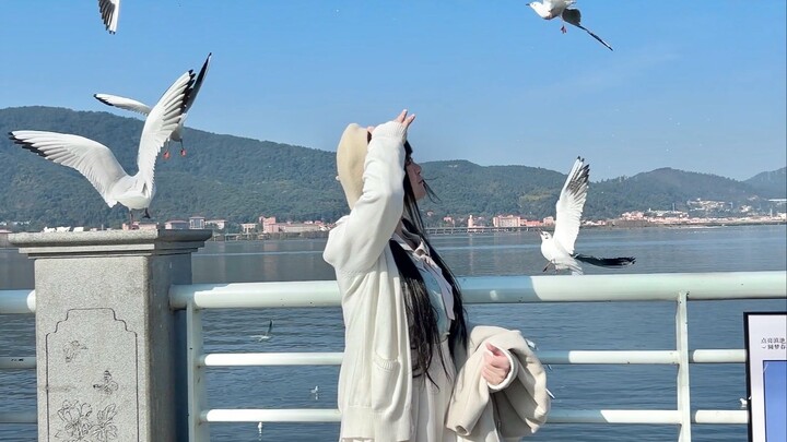 ฤดูใบไม้ผลิมาแล้ว! ไปที่ที่มีสายลมกันเถอะ