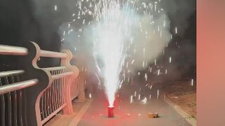 【Tiandou】A little idol who yells when fireworks are set off😫